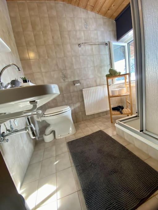 Alpenchalet Basecamp Apartment 2 Sankt Martin am Tennengebirge Ngoại thất bức ảnh